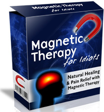Magnetic Therapy For Idiots™